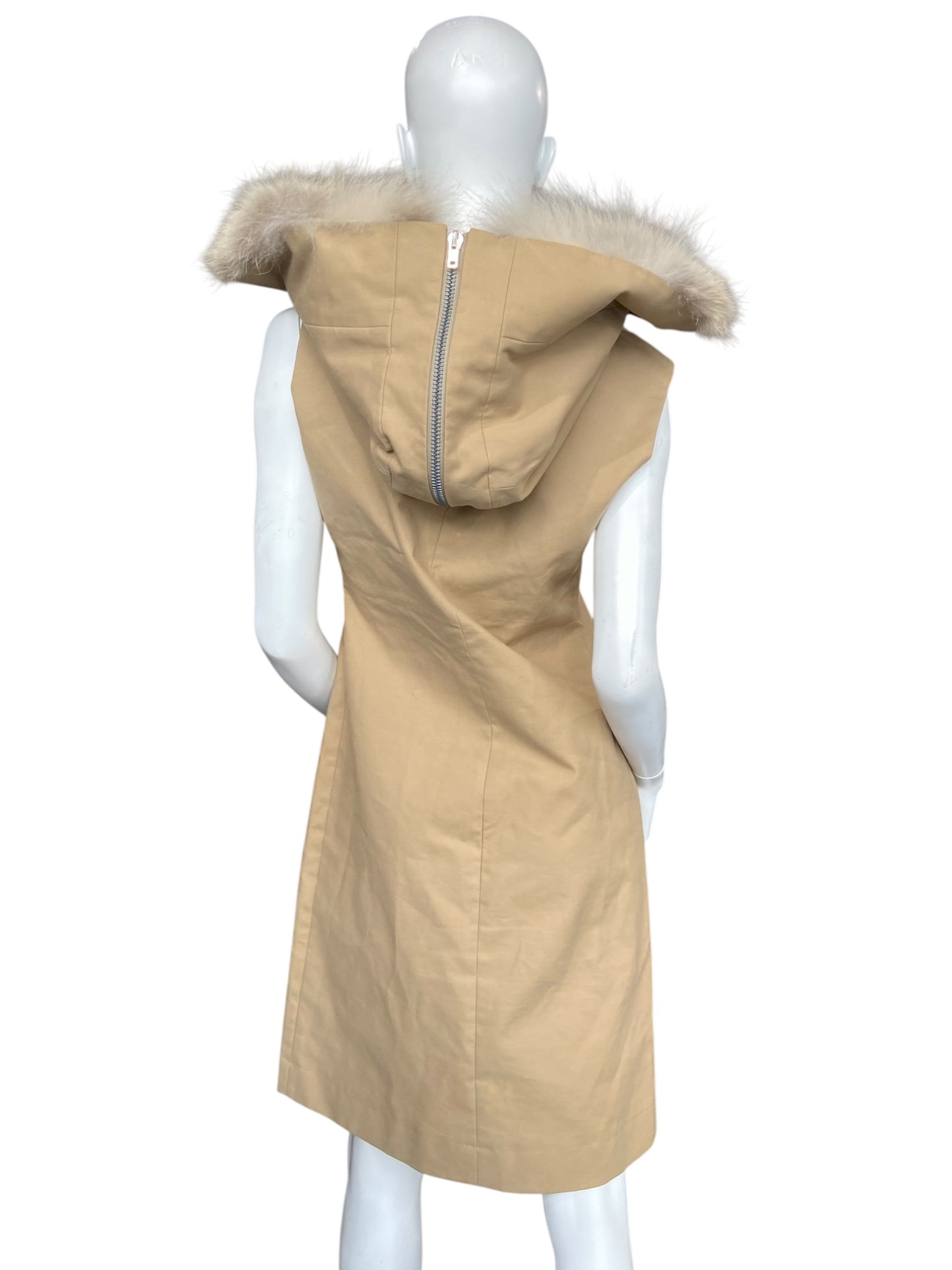CELINE FUR DRESS